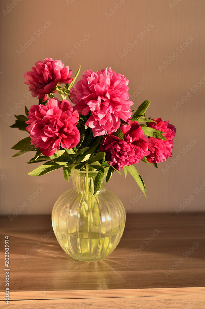 Fresh bouquet of pink peonies peony roses flowers in a vase on table in room. A gift to a mum's day. Sunny day background. Blossom wallpaper. Card, copy space. Fresh bouquet of pink peonies peony roses flowers in a vase on table in room. A gift to a mum's day. Sunny day background. Blossom wallpaper. Card, copy space.