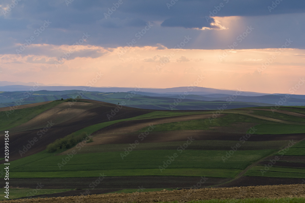 Transylvanian plains