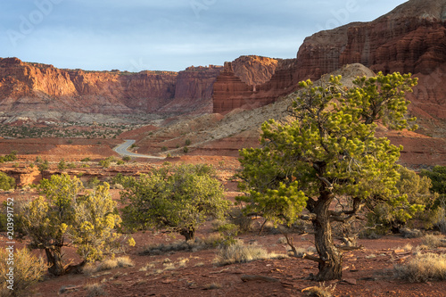 Capitol Reef National Park Viewpoint. The Panorama Viewpoint along highway 24 is a perfect spot for both daytime photo opportunities and for night sky watching and star gazing.