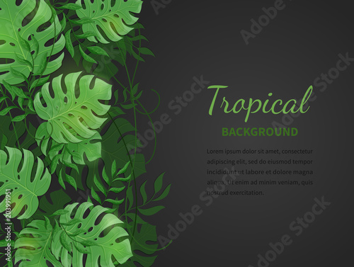 Tropical jungle leaves. Green tropic palm and monstera leaves  lianas on the black background. Vector Illustration