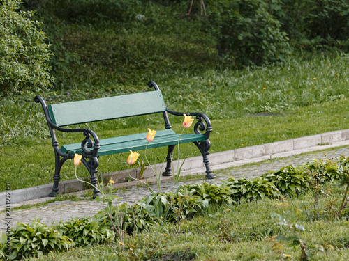 A wooden bench with yellow tulips in a spring garden