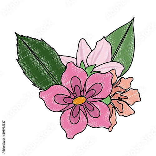 Beautiful flowers with leaves vector illustration graphic design