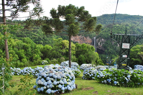 gramado - rs photo