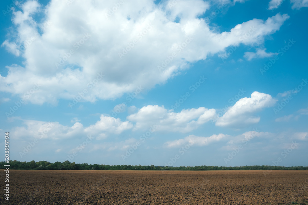 Agriculture field on spring time. Agricultural background Agriculture field on spring time. Agricultural background