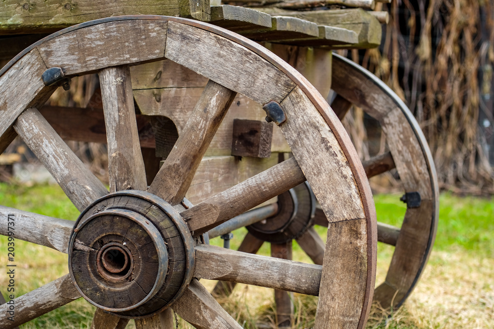 Close-up of two wheels of antique cart with three barrels for transporting goods