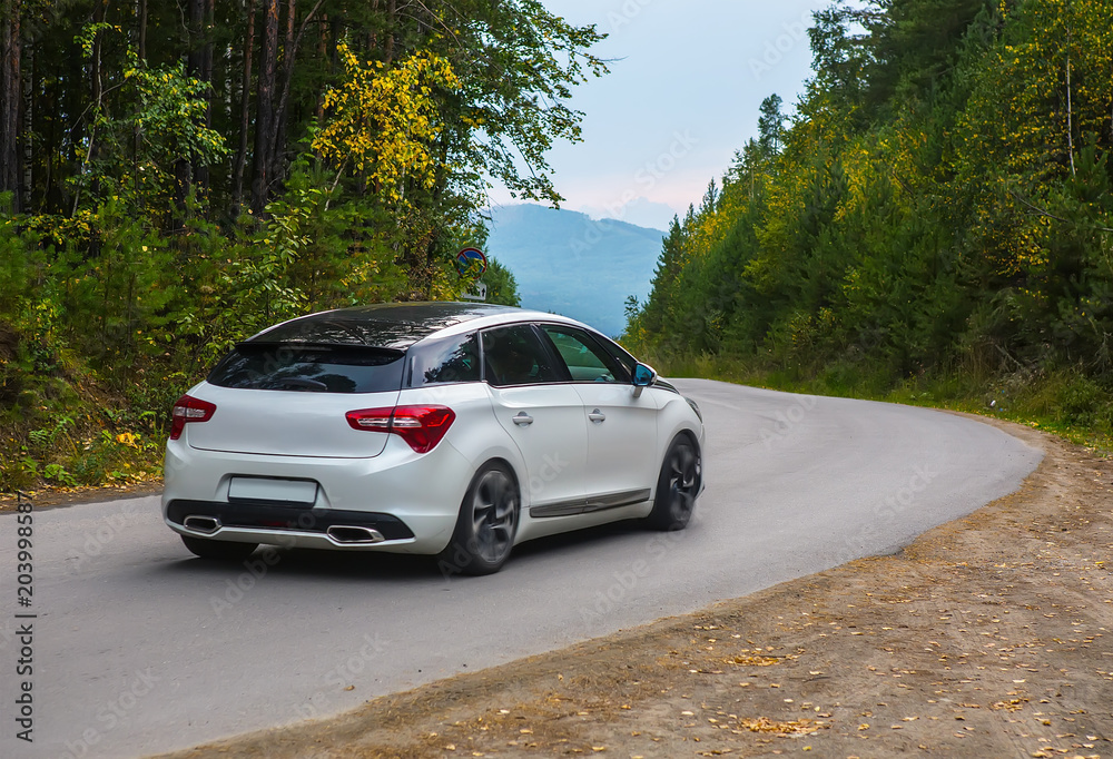 car rides on winding highway in an autumn forest