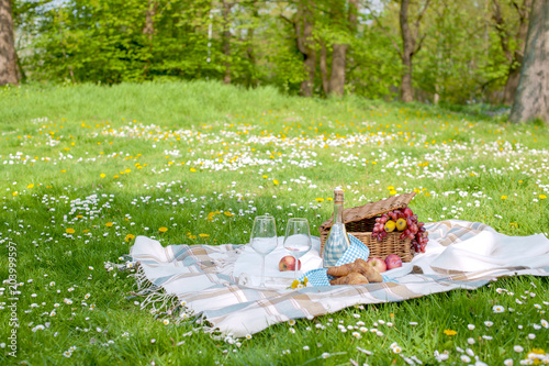 Picnic in the park. A green meadow with flowers, a plaid and a bottle of wine. Romantic dinner in nature. Free space for text. Spring in the Netherlands