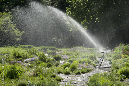 Wassersprenger; Steingarten; photo