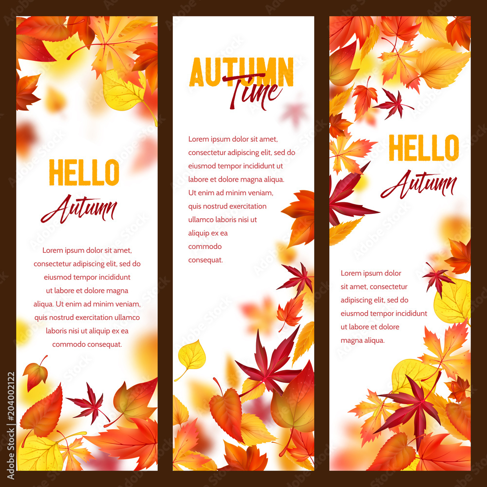 Fototapeta Autumn vector banners of fall leaf falling foliage