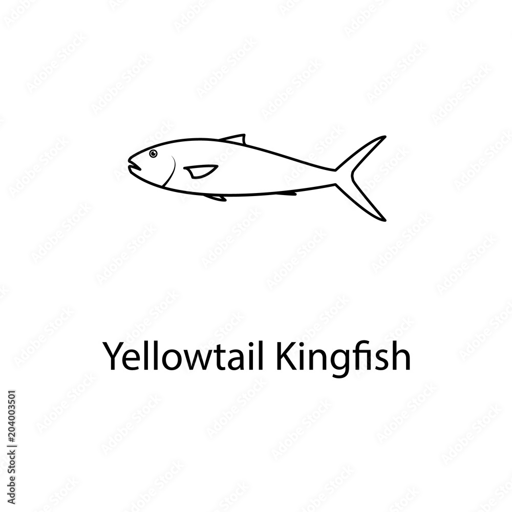 yellowtail kingfish icon. Element of marine life for mobile concept and web apps. Thin line yellowtail kingfish icon can be used for web and mobile. Premium icon