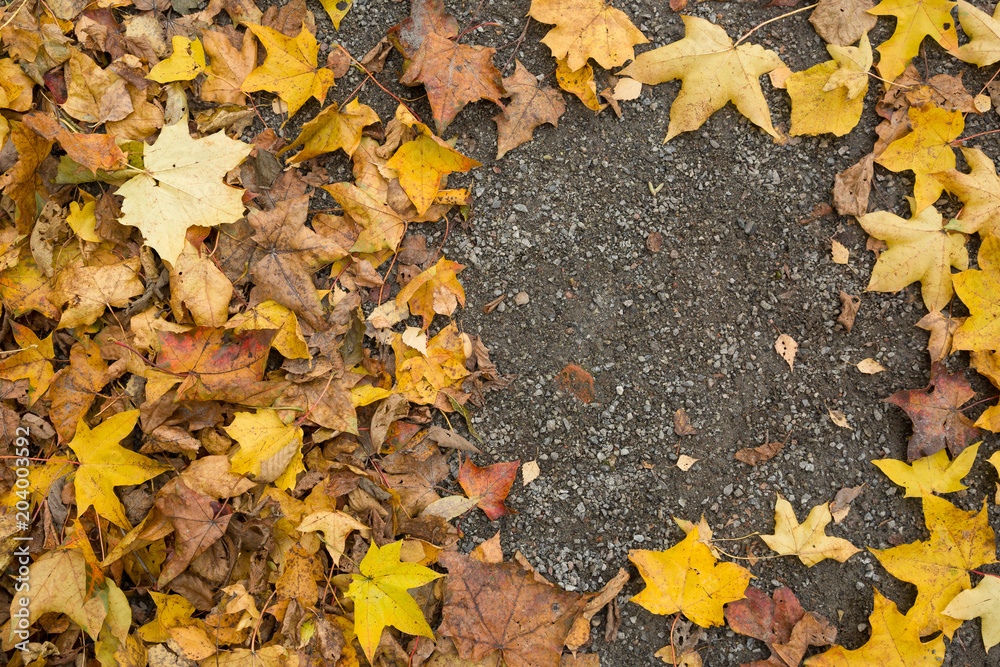 Top view on colorful dried leaves on the ground. Autumn in the park. Top view on colorful dried leaves on the ground. Autumn in the park.