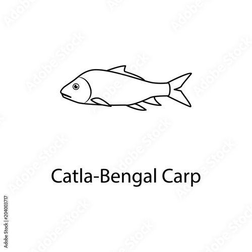 castka bengal carp icon. Element of marine life for mobile concept and web apps. Thin line castka bengal carp icon can be used for web and mobile. Premium icon