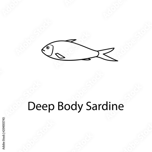 deep body sardine icon. Element of marine life for mobile concept and web apps. Thin line deep body sardine icon can be used for web and mobile. Premium icon