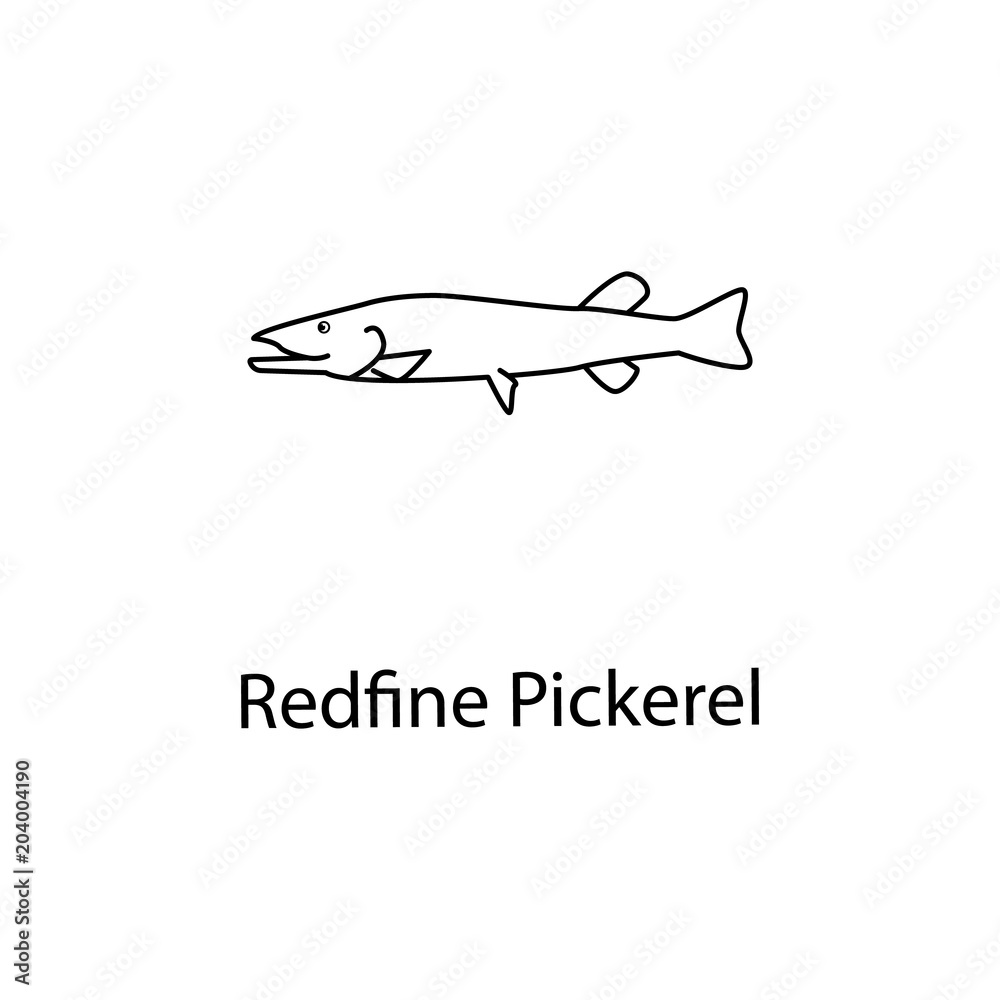 redfine pickerel icon. Element of marine life for mobile concept and web apps. Thin line redfine pickerel icon can be used for web and mobile. Premium icon redfine pickerel icon. Element of marine life for mobile concept and web apps. Thin line redfine pickerel icon can be used for web and mobile. Premium icon