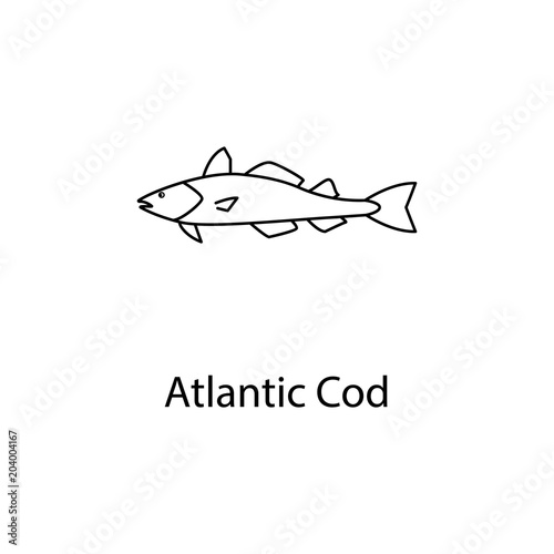 atlantic cod icon. Element of marine life for mobile concept and web apps. Thin line atlantic cod icon can be used for web and mobile. Premium icon