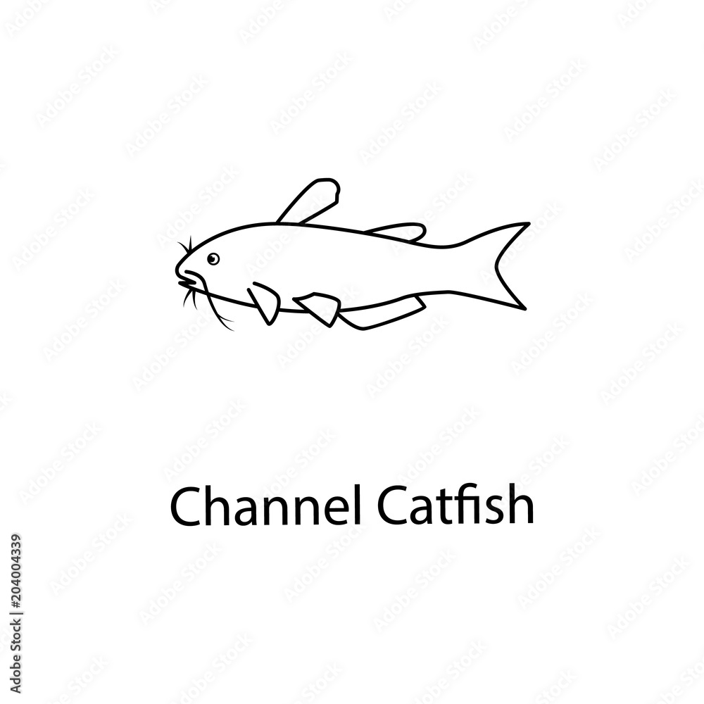 channel catfish icon. Element of marine life for mobile concept and web apps. Thin line channel catfish icon can be used for web and mobile. Premium icon channel catfish icon. Element of marine life for mobile concept and web apps. Thin line channel catfish icon can be used for web and mobile. Premium icon