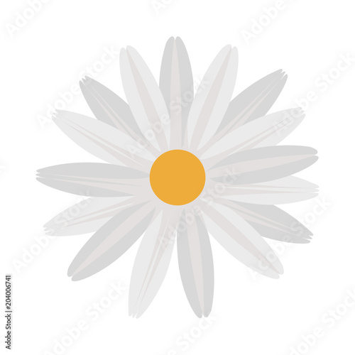 Fototapeta Naklejka Na Ścianę i Meble -  Beautiful flower symbol vector illustration graphic design