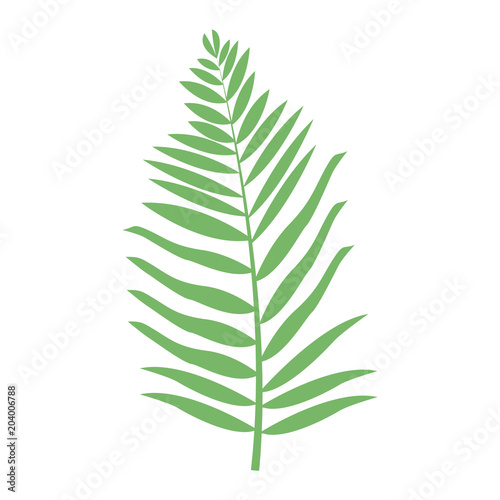 Bouquet of leaves vector illustration graphic design
