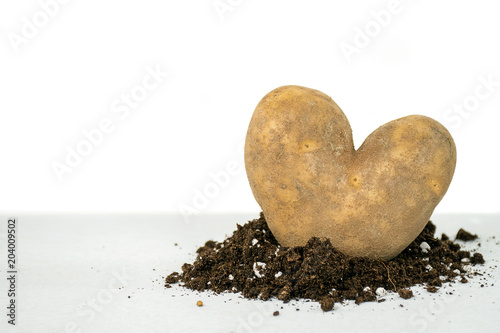 Fotografia closeup of heart shape russet potato in dirt
