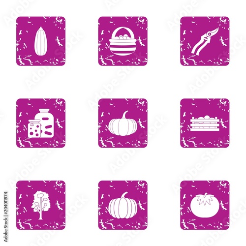 Autumn harvest icons set, grunge style