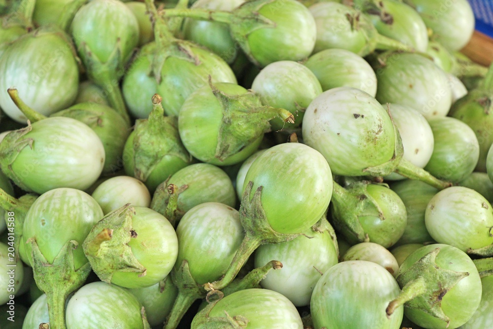 Fresh eggplant green organic at street food Fresh eggplant green organic at street food
