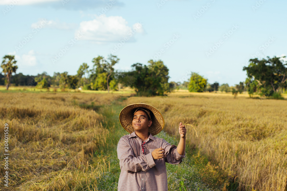 Brown Skin Farmer And His Rice Field Brown Skin Farmer And His Rice Field