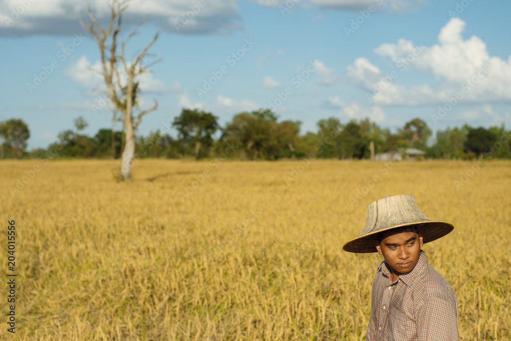 Brown Skin Farmer And His Rice Field Brown Skin Farmer And His Rice Field