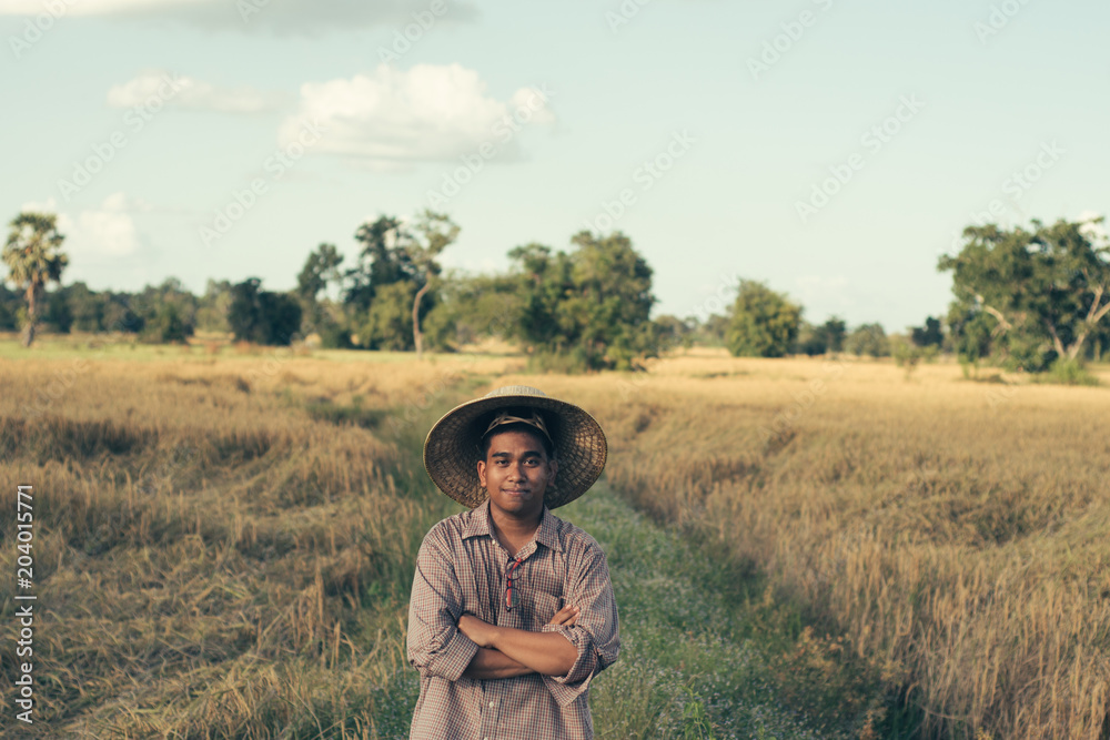 Brown Skin Farmer And His Rice Field Brown Skin Farmer And His Rice Field