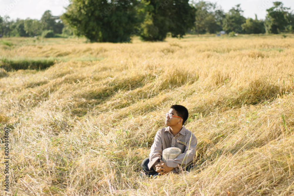 Brown Skin Farmer And His Rice Field Brown Skin Farmer And His Rice Field