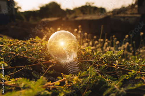 Idea And Creativity