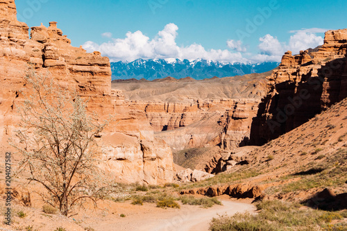 Charyn Canyon bottom view - geological formation consists of amazing big red sand stone. Charyn National Park. Kazakhstan.