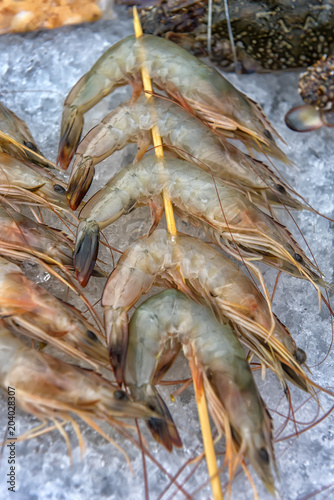 shrimp on a stick photo