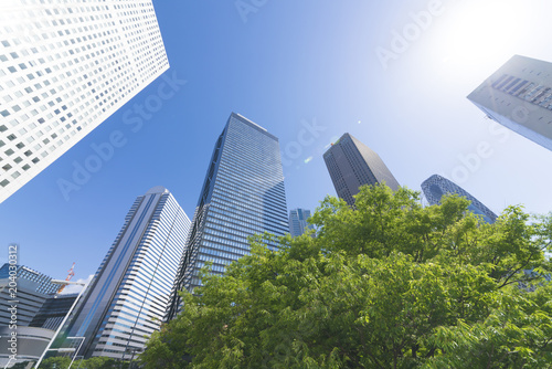 東京風景・新宿・春・新緑・青空・太陽・レンズフレア