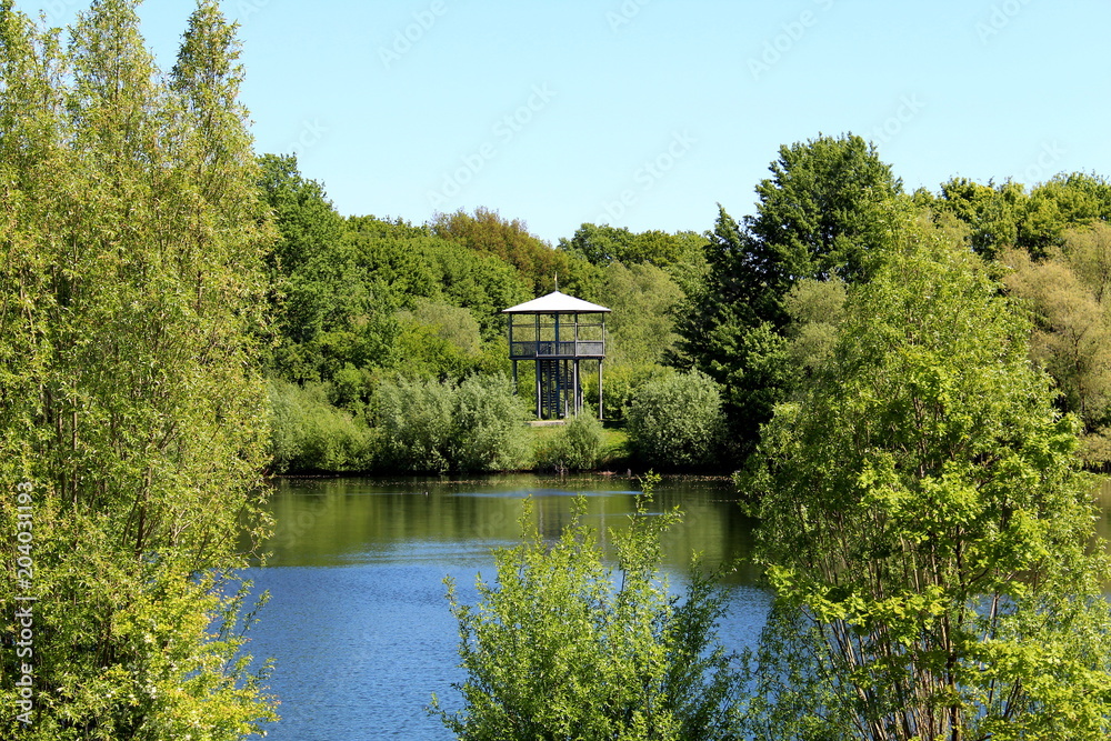 Obraz premium Salzgittersee