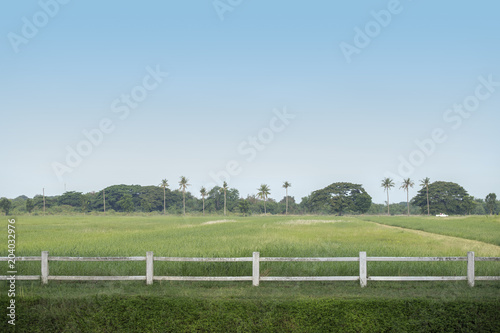 White fence and green field
