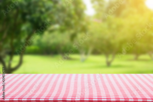 empty picnic table cloth table in the garden