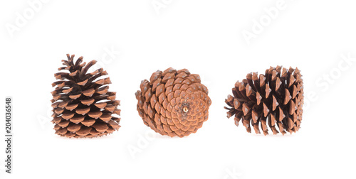 Three pine cones isolated