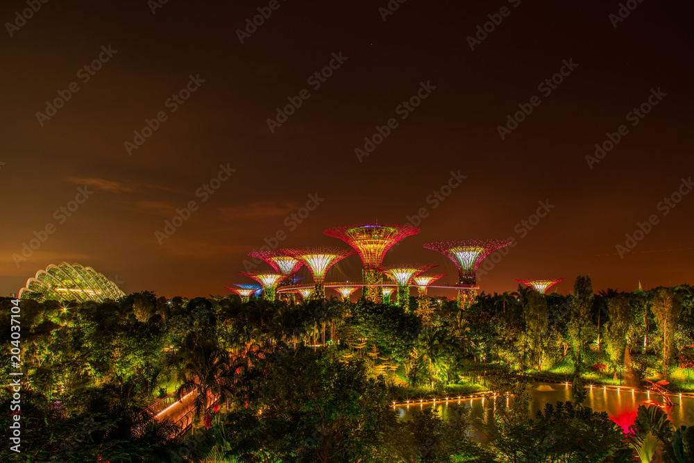 Singapore Night Skyline at Gardens by the Bay. SuperTree Grove