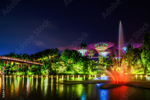 Singapore Night Skyline at Gardens by the Bay. SuperTree Grove