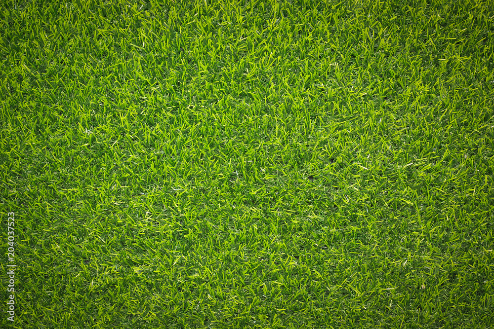 Obraz premium grass texture for background