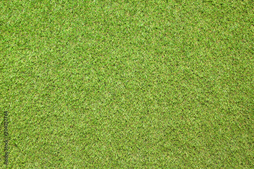 grass texture for background