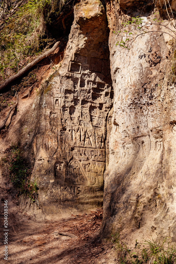 Obraz premium Latvia Deep in the forest between the trees, the Mars chamber is in the clay land