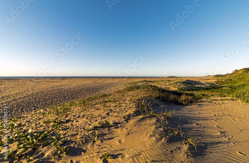 Golden Sand and Dune Vegetation Coastal Skyline Landscape