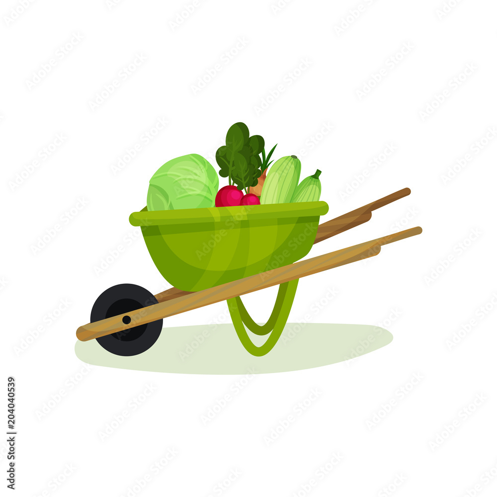 Vecteur Stock Ripe and fresh vegetables in green garden cart. Metal  wheelbarrow with wooden handles and one wheel. Natural food. Flat vector  design | Adobe Stock