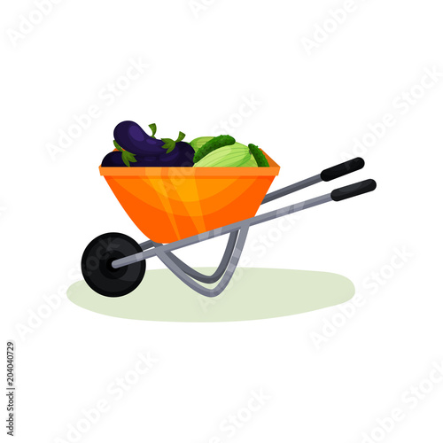 Wheelbarrow full of fresh vegetables. Ripe eggplants, cucumbers and zucchini. Organic farm food. Flat vector design