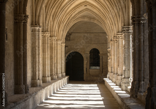 Romanesque Cloisters Church of Saint Trophime Cathedral in Arles. Provence   France