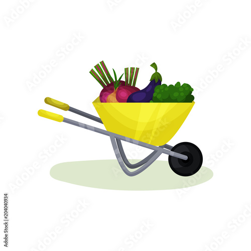 Yellow wheelbarrow with ripe vegetables. Healthy and fresh farm products. Organic food. Flat vector design