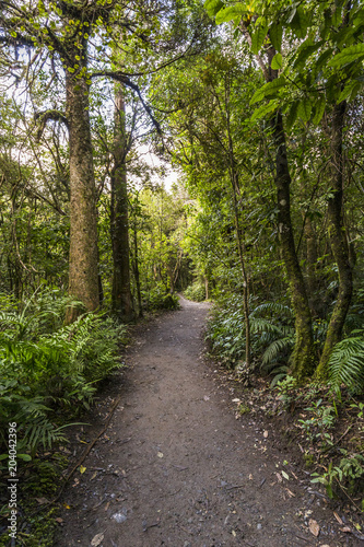 Tongariro alpine crossing  New Zealand