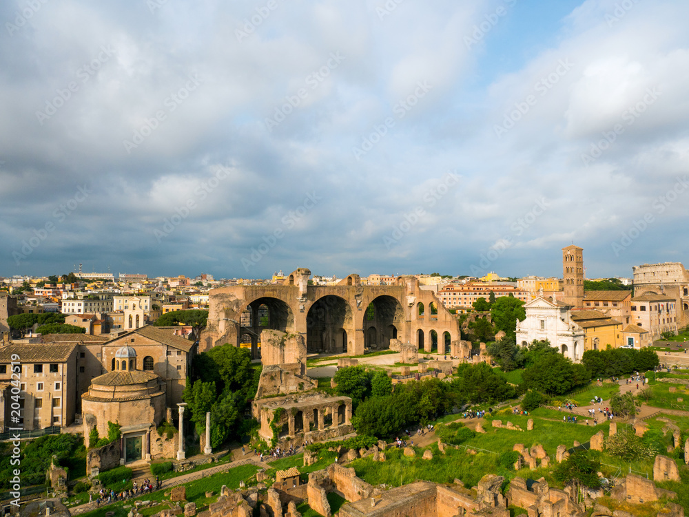 view on the Roman Forums from the Palatine Hill, ancient Rome Italy