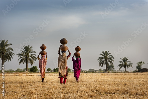 water carrier women with mud made pitchers in rural Punjab near palm trees 